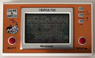Tropical Fish
